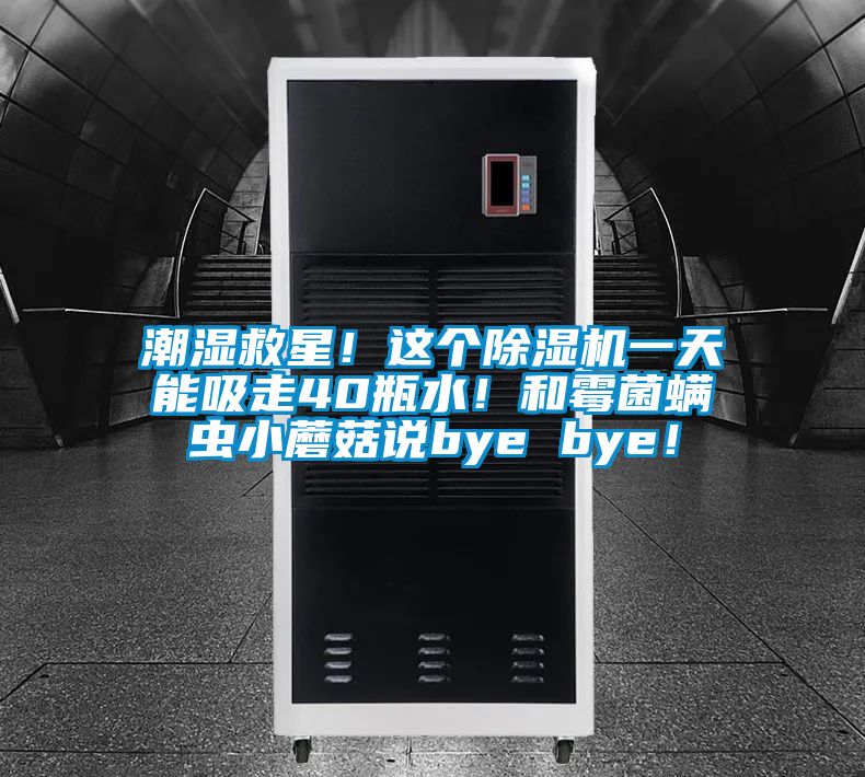 潮湿救星！这个香蕉视频国产APP下载机一天能吸走40瓶水！和霉菌螨虫小蘑菇说bye bye！