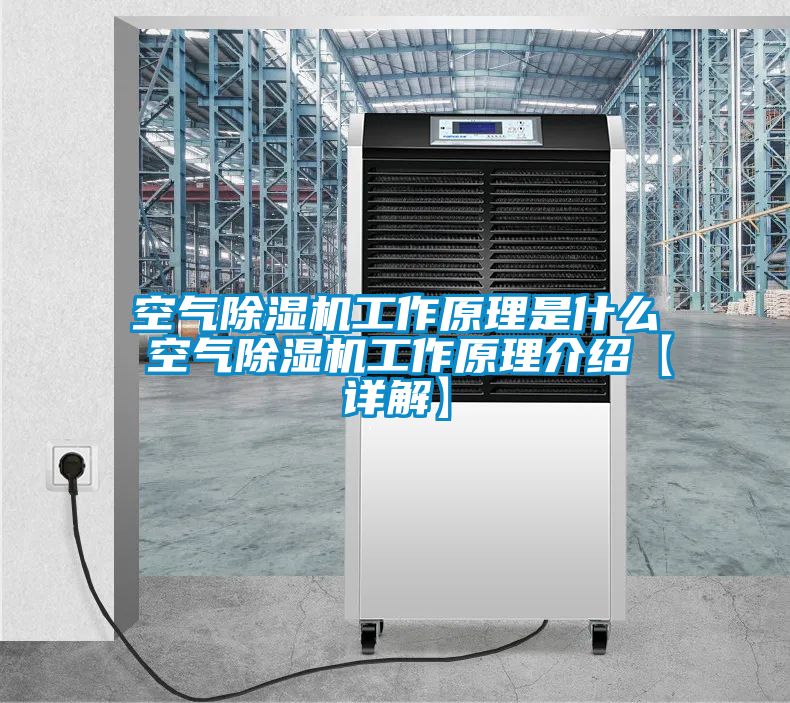 空气香蕉视频国产APP下载机工作原理是什么 空气香蕉视频国产APP下载机工作原理介绍【详解】