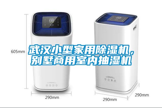 武汉小型家用香蕉视频国产APP下载机，别墅商用室内抽湿机