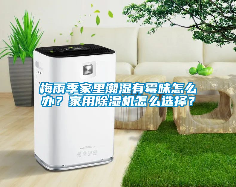 梅雨季家里潮湿有霉味怎么办？家用香蕉视频国产APP下载机怎么选择？