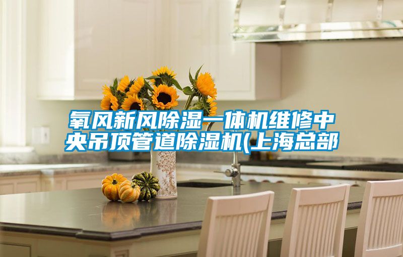 氧风新风香蕉视频国产APP下载一体机维修中央吊顶管道香蕉视频国产APP下载机(上海总部