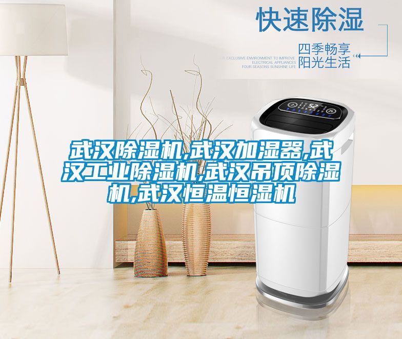 武汉香蕉视频国产APP下载机,武汉加湿器,武汉工业香蕉视频国产APP下载机,武汉吊顶香蕉视频国产APP下载机,武汉恒温恒湿机