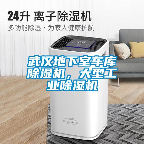 武汉地下室车库香蕉视频国产APP下载机，大型工业香蕉视频国产APP下载机