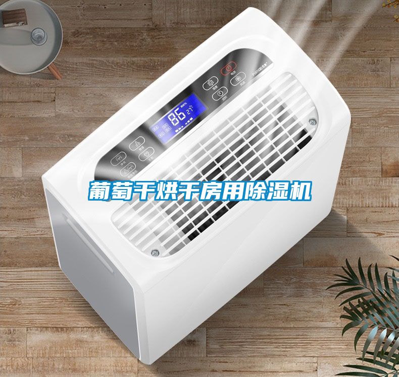 葡萄干烘干房用香蕉视频国产APP下载机