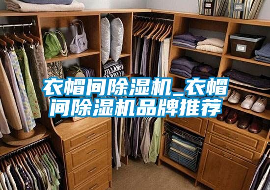 衣帽间香蕉视频国产APP下载机_衣帽间香蕉视频国产APP下载机品牌推荐