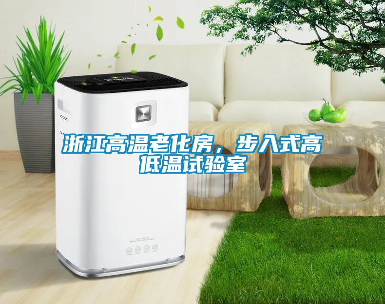 浙江高温老化房，步入式高低温试验室