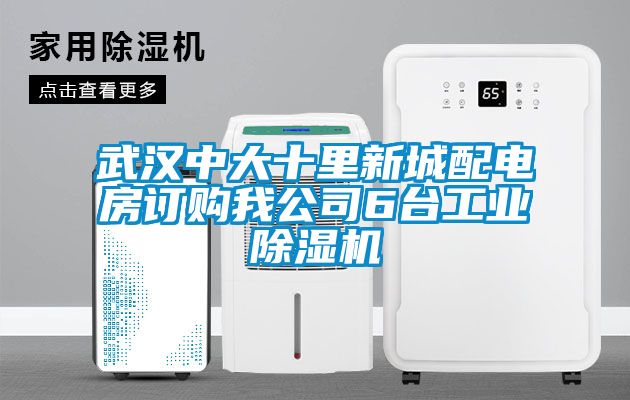 武汉中大十里新城配电房订购我公司6台工业香蕉视频国产APP下载机