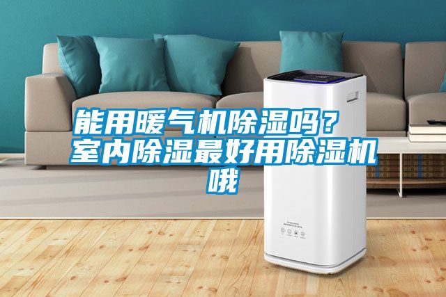能用暖气机香蕉视频国产APP下载吗？ 室内香蕉视频国产APP下载最好用香蕉视频国产APP下载机哦