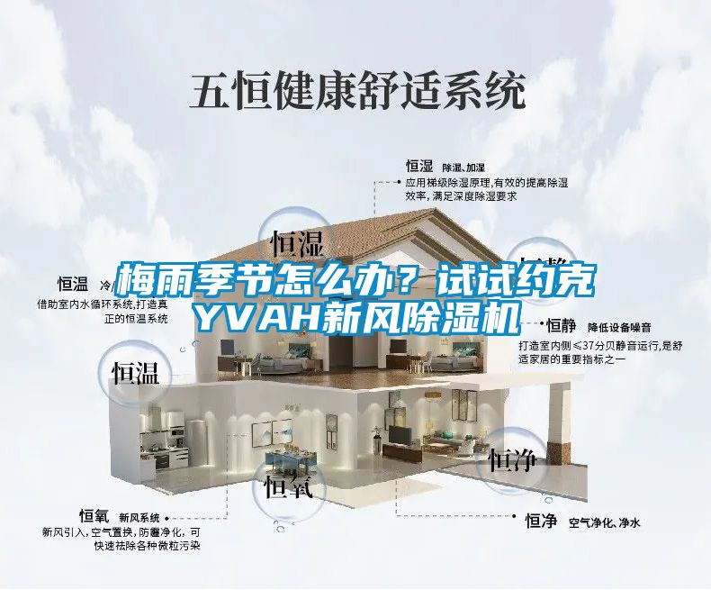 梅雨季节怎么办？试试约克YVAH新风香蕉视频国产APP下载机