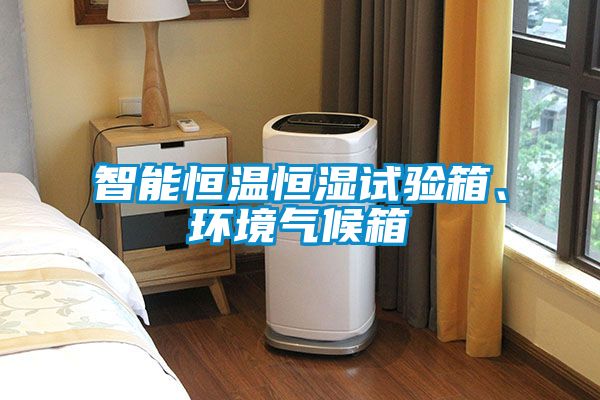 智能恒温恒湿试验箱、环境气候箱