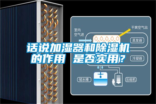 话说加湿器和香蕉视频国产APP下载机的作用 是否实用？