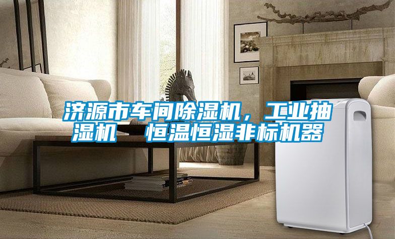 济源市车间香蕉视频国产APP下载机，工业抽湿机  恒温恒湿非标机器