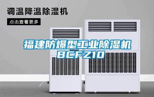 福建防爆型工业香蕉视频国产APP下载机 BCFZ10