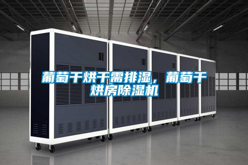 葡萄干烘干需排湿，葡萄干烘房香蕉视频国产APP下载机