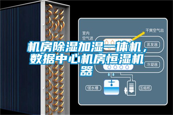 机房香蕉视频国产APP下载加湿一体机，数据中心机房恒湿机器