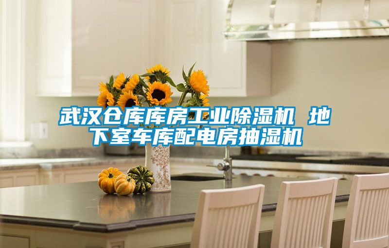 武汉仓库库房工业香蕉视频国产APP下载机 地下室车库配电房抽湿机