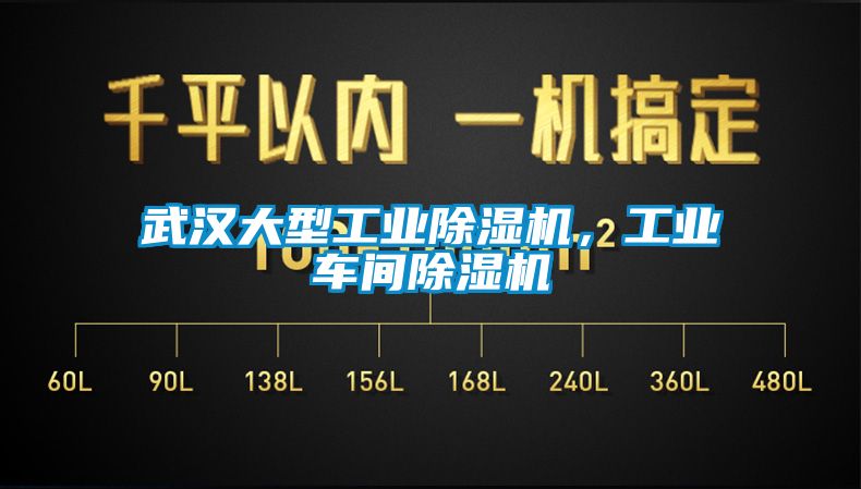 武汉大型工业香蕉视频国产APP下载机，工业车间香蕉视频国产APP下载机
