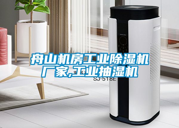 舟山机房工业香蕉视频国产APP下载机厂家,工业抽湿机