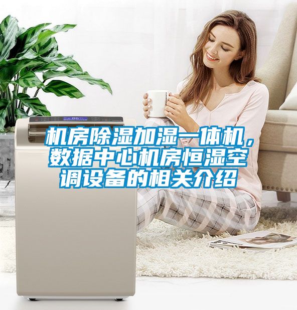 机房香蕉视频国产APP下载加湿一体机，数据中心机房恒湿空调设备的相关介绍