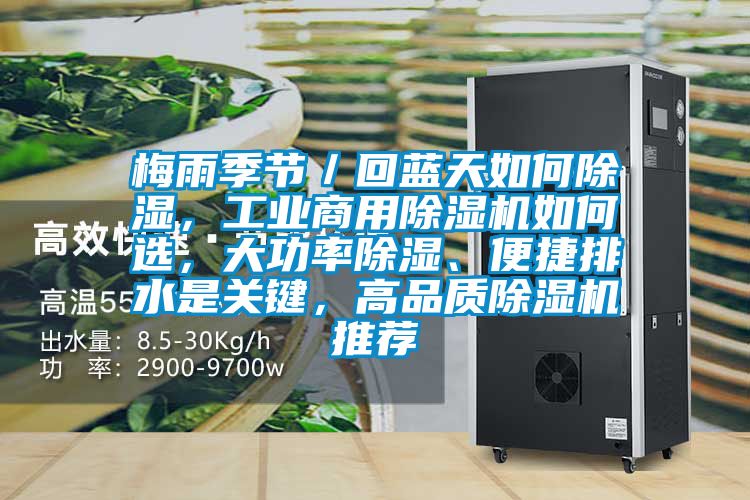梅雨季节／回蓝天如何香蕉视频国产APP下载，工业商用香蕉视频国产APP下载机如何选，大功率香蕉视频国产APP下载、便捷排水是关键，高品质香蕉视频国产APP下载机推荐