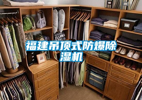 福建吊顶式防爆香蕉视频国产APP下载机