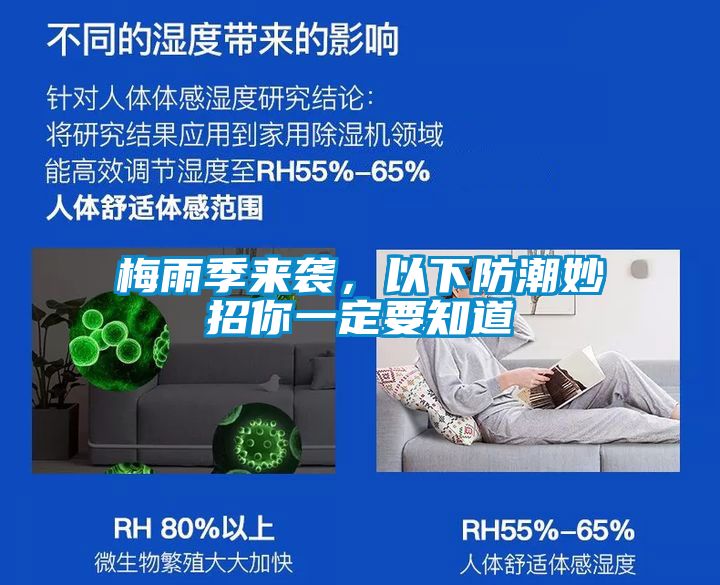 梅雨季来袭，以下防潮妙招你一定要知道