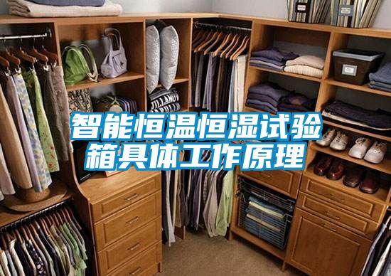 智能恒温恒湿试验箱具体工作原理