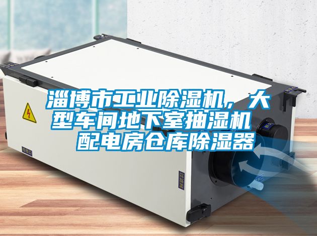 淄博市工业香蕉视频国产APP下载机，大型车间地下室抽湿机  配电房仓库香蕉视频国产APP下载器