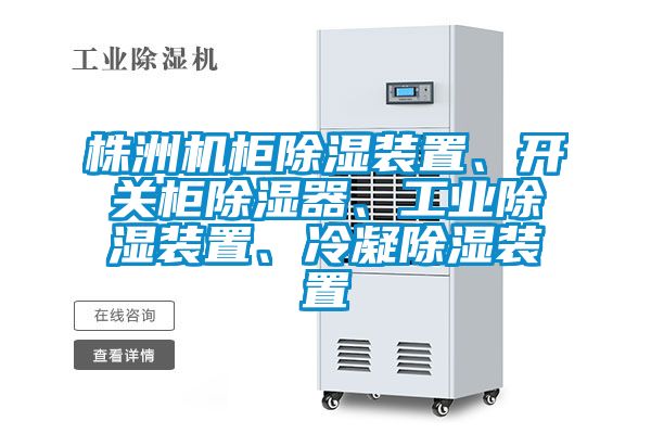 株洲机柜香蕉视频国产APP下载装置、开关柜香蕉视频国产APP下载器、工业香蕉视频国产APP下载装置、冷凝香蕉视频国产APP下载装置