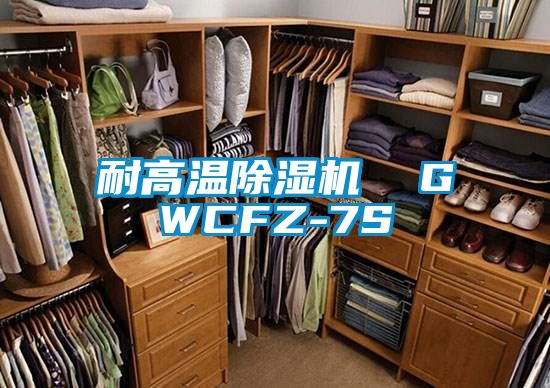耐高温香蕉视频国产APP下载机  GWCFZ-7S