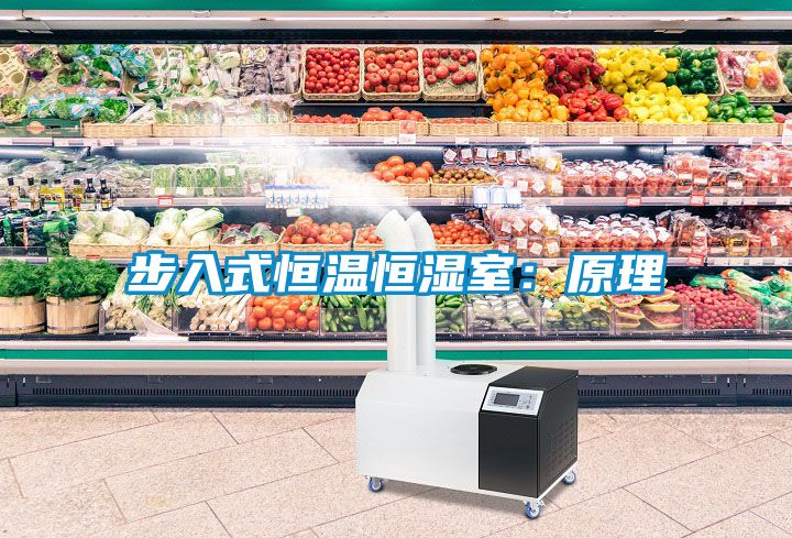 步入式恒温恒湿室：原理