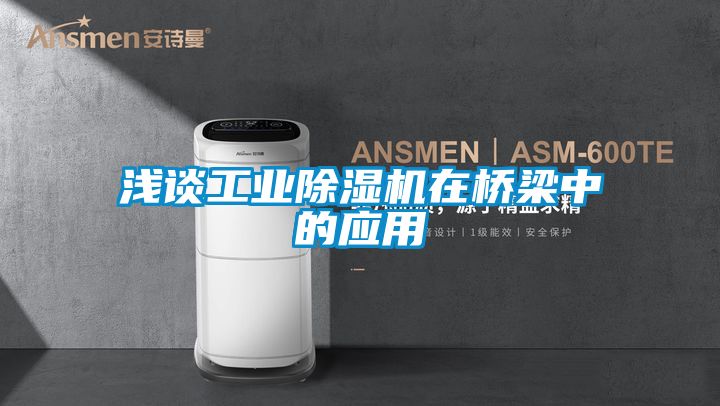 浅谈工业香蕉视频国产APP下载机在桥梁中的应用