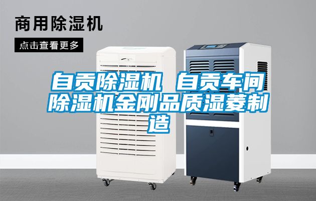 自贡香蕉视频国产APP下载机 自贡车间香蕉视频国产APP下载机金刚品质湿菱制造