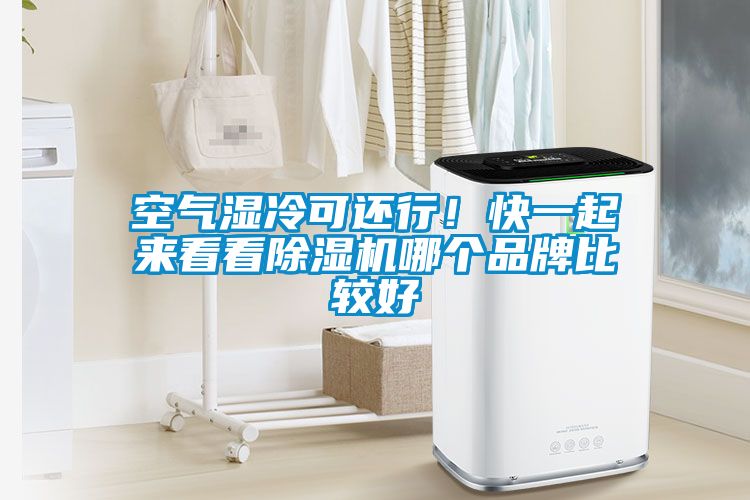 空气湿冷可还行！快一起来看看香蕉视频国产APP下载机哪个品牌比较好