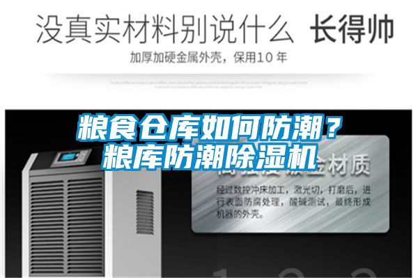 粮食仓库如何防潮？粮库防潮香蕉视频国产APP下载机
