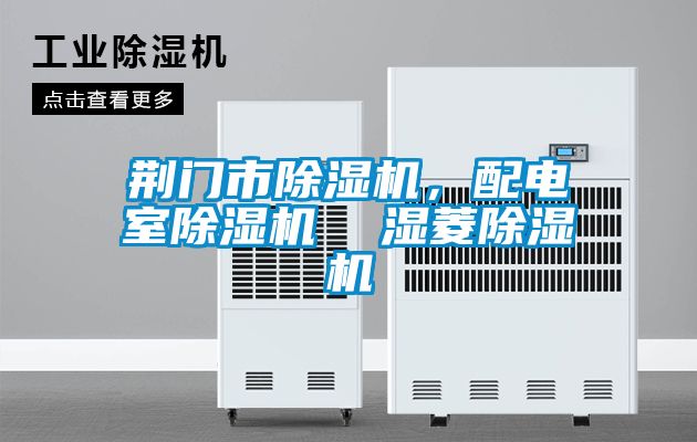 荆门市香蕉视频国产APP下载机，配电室香蕉视频国产APP下载机  湿菱香蕉视频国产APP下载机