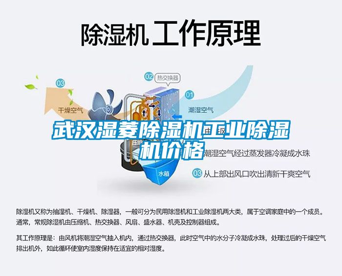 武汉湿菱香蕉视频国产APP下载机工业香蕉视频国产APP下载机价格