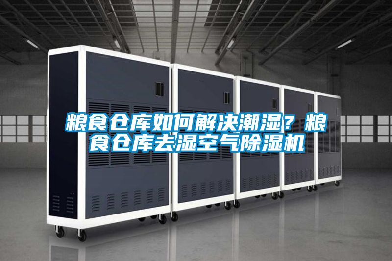 粮食仓库如何解决潮湿？粮食仓库去湿空气香蕉视频国产APP下载机