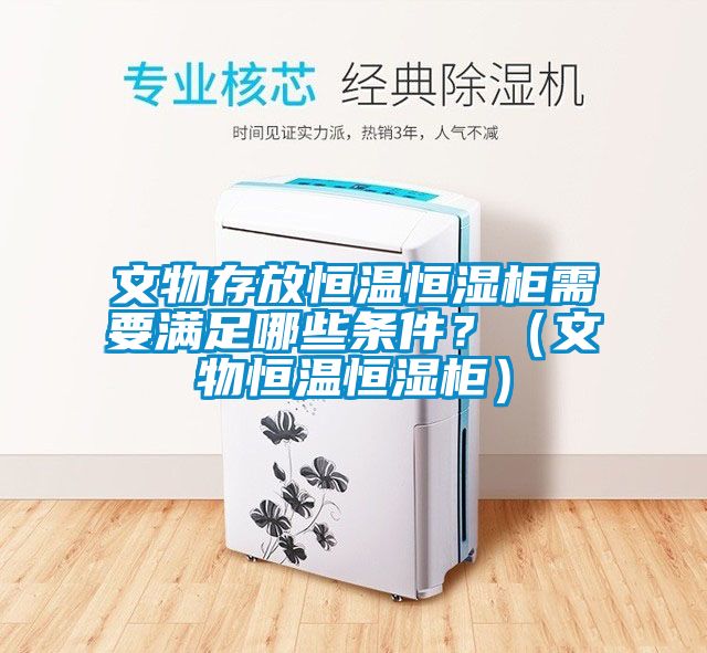 文物存放恒温恒湿柜需要满足哪些条件？（文物恒温恒湿柜）