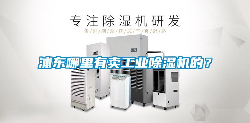 浦东哪里有卖工业香蕉视频国产APP下载机的？