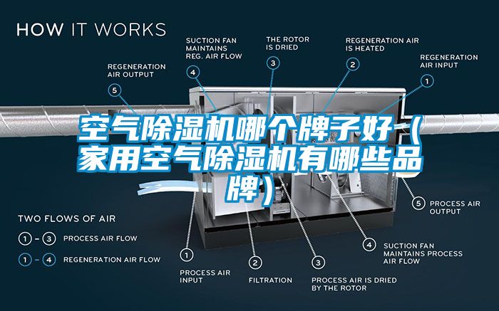 空气香蕉视频国产APP下载机哪个牌子好（家用空气香蕉视频国产APP下载机有哪些品牌）