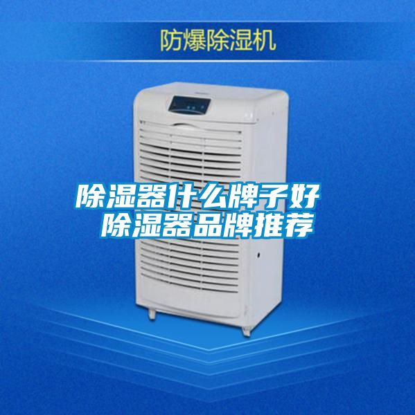 香蕉视频国产APP下载器什么牌子好 香蕉视频国产APP下载器品牌推荐