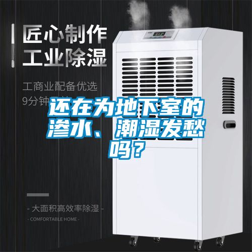 还在为地下室的渗水、潮湿发愁吗？