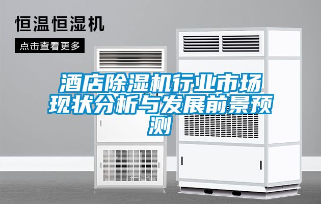 酒店香蕉视频国产APP下载机行业市场现状分析与发展前景预测