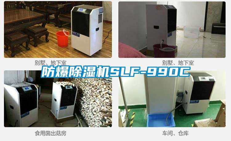 防爆香蕉视频国产APP下载机SLF-990C