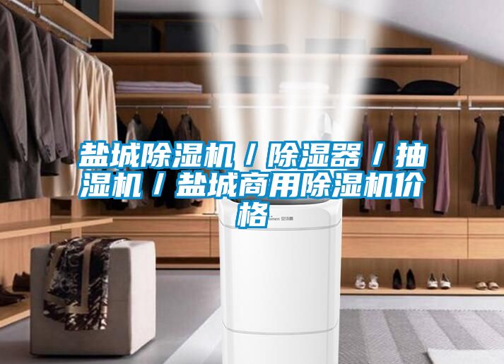 盐城香蕉视频国产APP下载机／香蕉视频国产APP下载器／抽湿机／盐城商用香蕉视频国产APP下载机价格