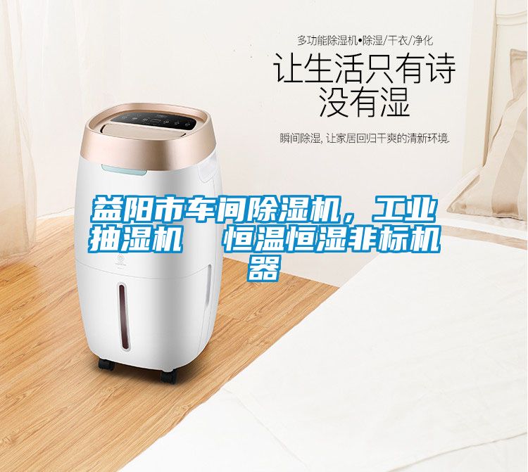 益阳市车间香蕉视频国产APP下载机，工业抽湿机  恒温恒湿非标机器