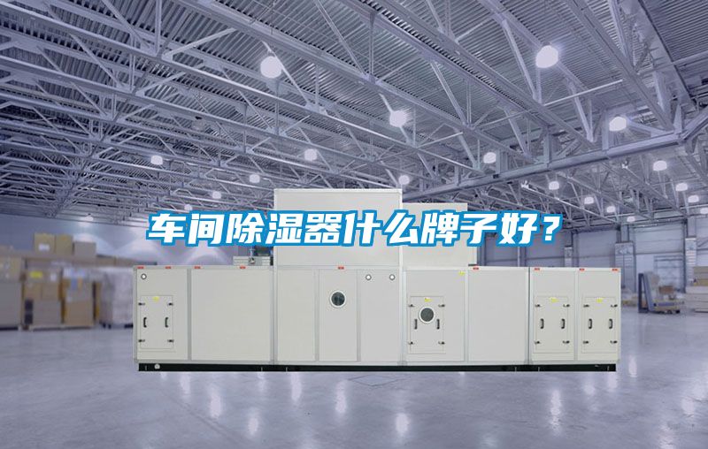 车间香蕉视频国产APP下载器什么牌子好？