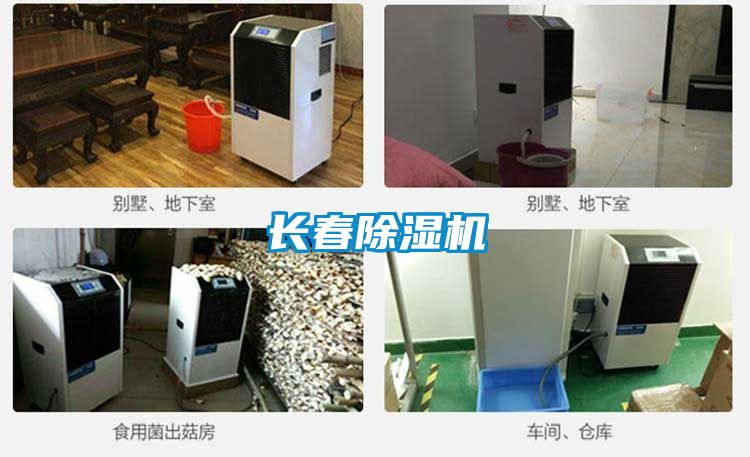 长春香蕉视频国产APP下载机