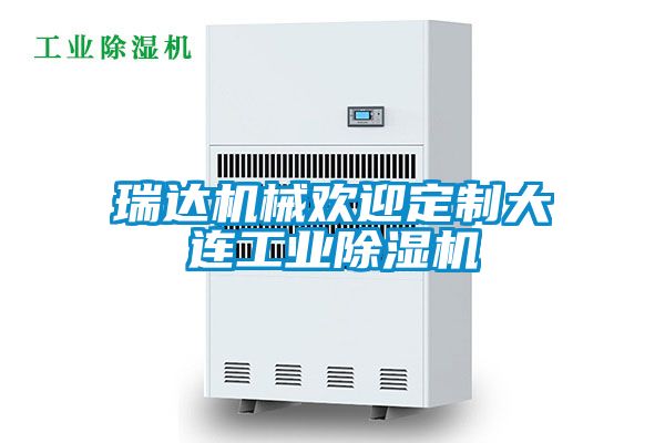 瑞达机械欢迎定制大连工业香蕉视频国产APP下载机